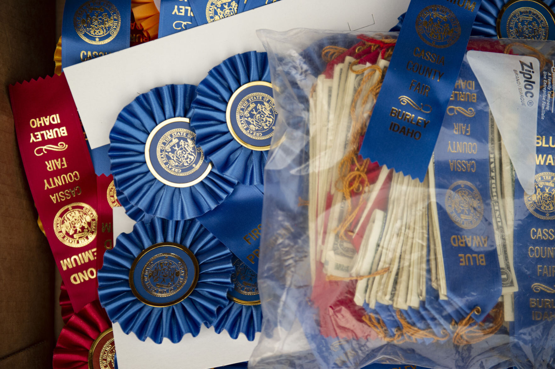 Livestock at the Cassia County Fair